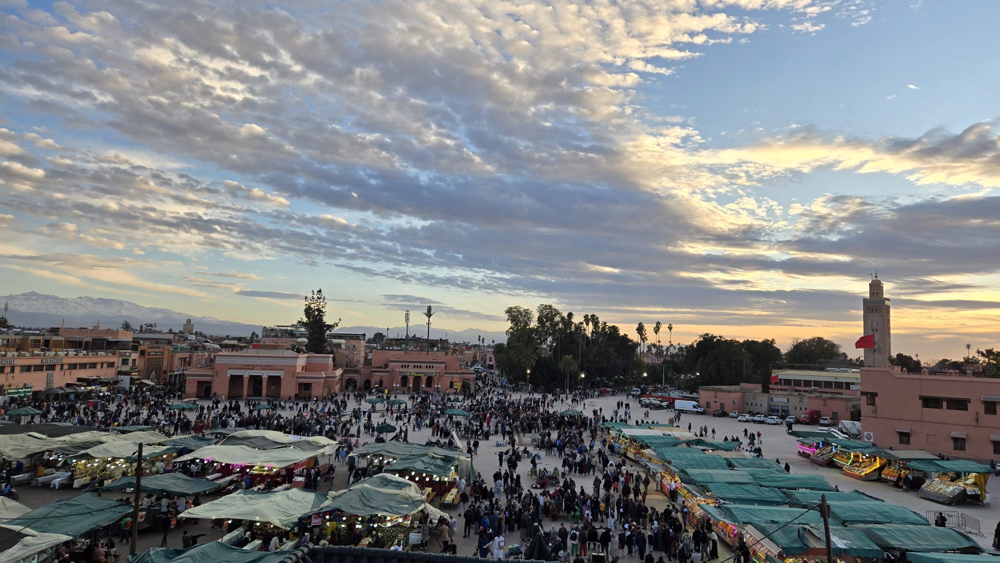 PATENTICA at AIPPI MidTerm 2026 in Marrakech