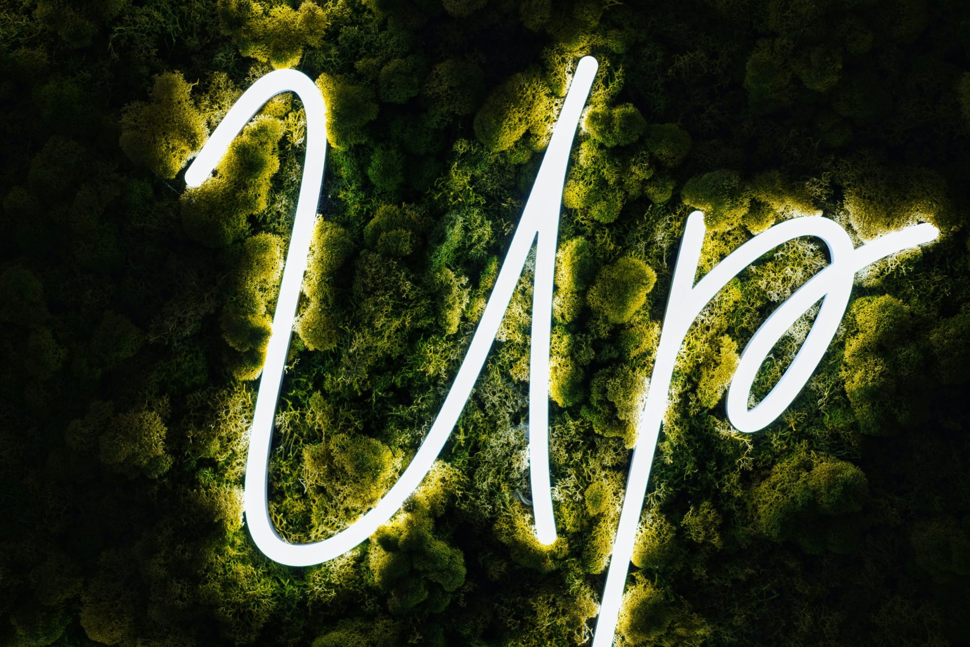 Eurasian Patent System shows steady growth in 2025